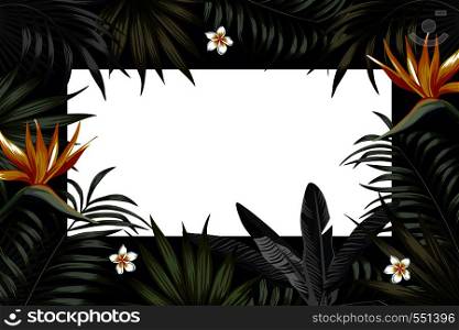 Vector night tropical design for flyer or banner. Vacation summer poster with tropical flower and leaves. Illustration with strelitzia, plumeria jungle exotic leaf palm and monstera on the black night background