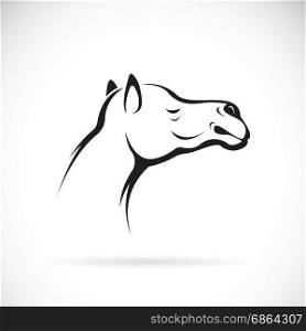 Vector of a camel head on white background, Wild Animals.