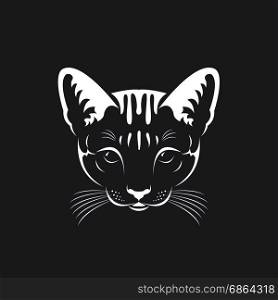Vector of a cat face on black background, Pet. Animals.