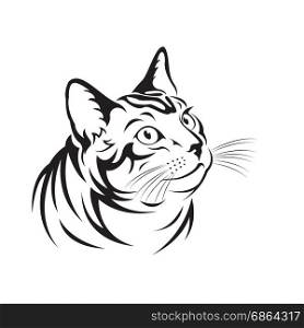 Vector of a cat on white background. Pet Animal.