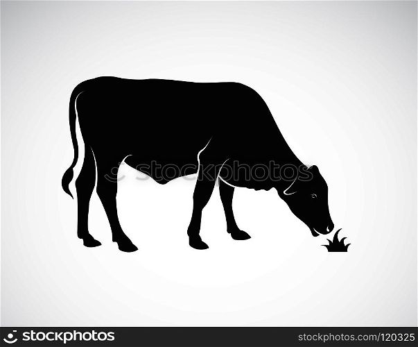 Vector of a cow is eating grass on white background. Farm Animals. Easy editable layered vector illustration.