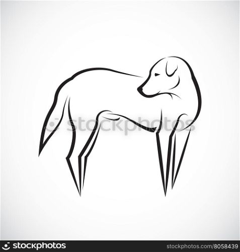 Vector of a dog on white background