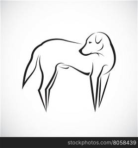 Vector of a dog on white background