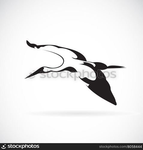 Vector of a flying stork on white background.