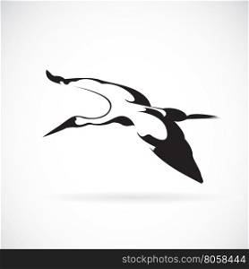 Vector of a flying stork on white background.