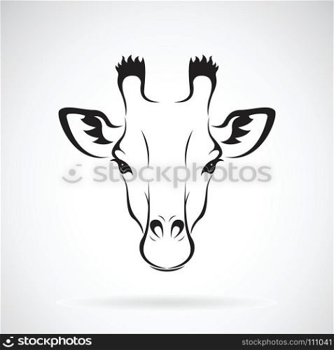 Vector of a giraffe head design on white background. Wild Animals. Vector illustration.