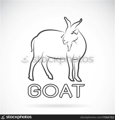Vector of a goat on a white background. Wild Animals.