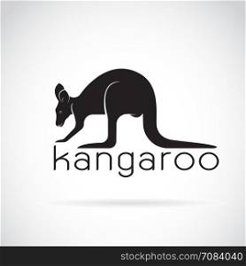 Vector of a kangaroo on white background. Wild Animals.
