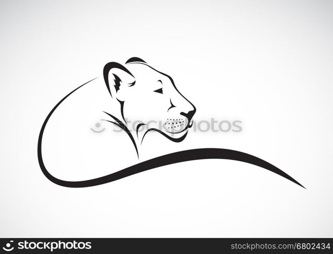 Vector of a lion female design on white background, Wild Animals.