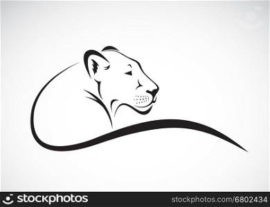 Vector of a lion female design on white background, Wild Animals.