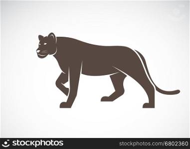 Vector of a lion female on white background, Wild Animals.