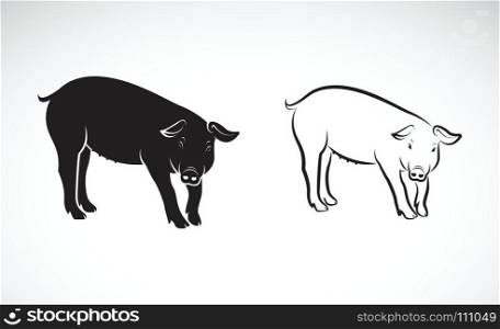 Vector of a pig on white background. Farm Animals. Vector illustration.