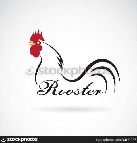 Vector of a rooster on white background. Farm Animals.