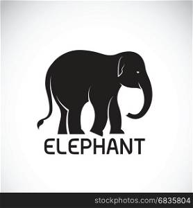 Vector of an elephant on white background. Wild Animal