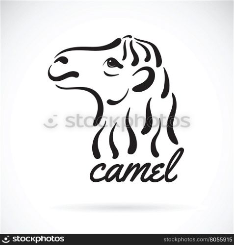 Vector of camel head on white background