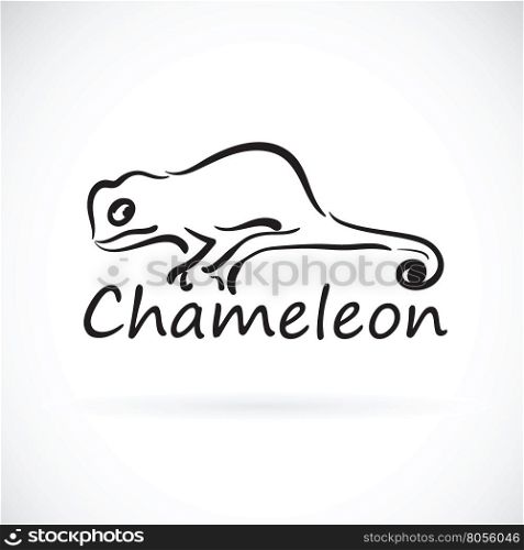 Vector of chameleon on white background.