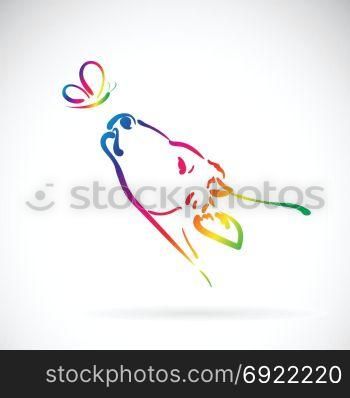 Vector of cow and butterfly on white background. Animal.
