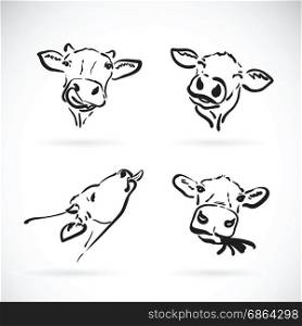 Vector of cow head on white background. Farm Animal.