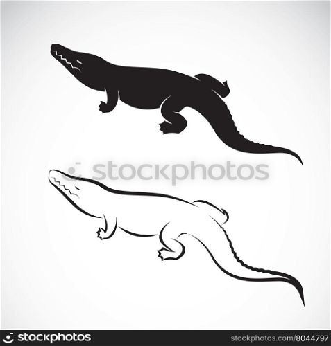 Vector of crocodile design on white background. Vector crocodile for your design.