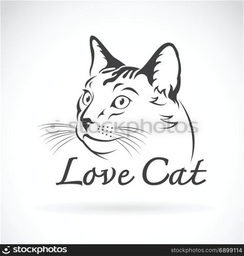Vector of cute cat on white background. Pet, Animal.