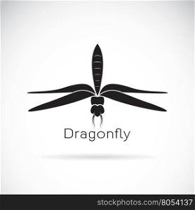 Vector of dragonfly design on white background