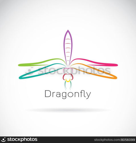 Vector of dragonfly on white background