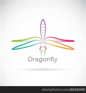 Vector of dragonfly on white background