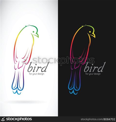 Vector of drongo bird on white background and black background . Birds Icon.