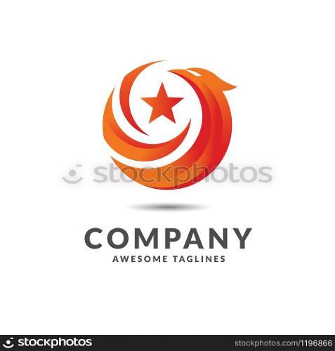 vector of eagle and star in the circle logo concept