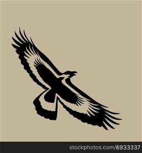 Vector of eagle design on brown background, Wild Animals. Bird.