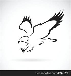 Vector of eagle design on white background, Wild Animals.