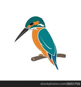 Vector of kingfisher bird design on white background. Easy editable layered vector illustration. Wild Animals.