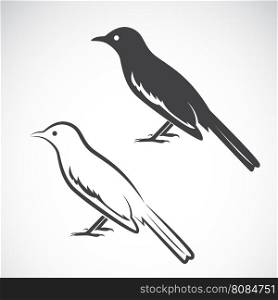 Vector of magpie design on white background. Bird Icon. Vector illustration.