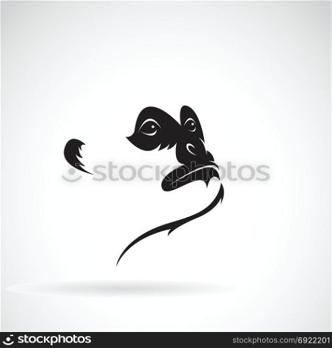 Vector of northern white-cheeked gibbon face design on a white background. Wild Animals.
