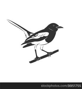 Vector of oriental magpie robin bird design on white background. Easy editable layered vector illustration. Wild Animals.