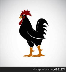 Vector of rooster or cock design on white background., Animal farm. Easy editable layered vector illustration.