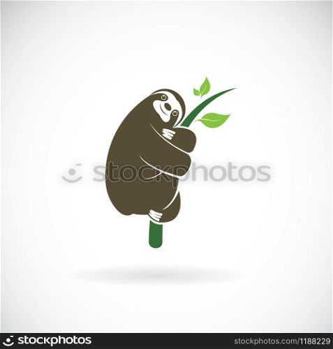 Vector of sloth design is perched on a branch on white background. Wild Animals. Easy editable layered vector illustration.