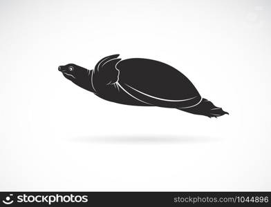 Vector of soft-shelled turtle (Trionychidae) on white background. wild Animals. Turtles logo or icon. Easy editable layered vector illustration.
