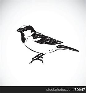 Vector of sparrow design on white background. Bird Icon