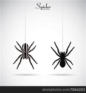 Vector of spider on white background. Insect. Animal. Spider Icon Easy editable layered vector illustration.