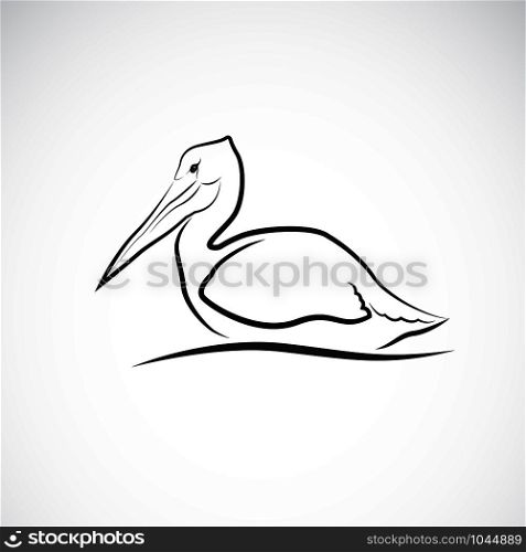 Vector of Spot-billed pelican bird (Pelecanus philippensis) on white background. Wild Animals. Easy editable layered vector illustration.