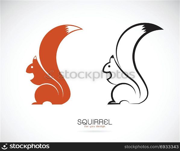 Vector of squirrel design on white background. Mammal. Animals.