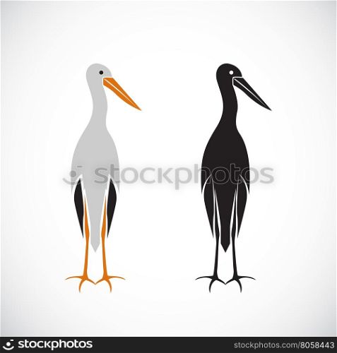 Vector of stork design on white background.