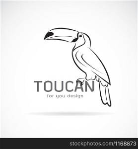 Vector of toucan birb design on white background. Wild Animals. Easy editable layered vector illustration.