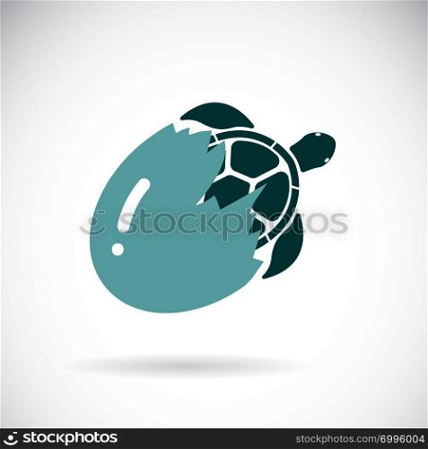 Vector of turtle coming out of the egg on a white background,. Wild Animals. Easy editable layered vector illustration.
