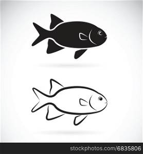 Vector of two fish on white background. Aquatic animals.