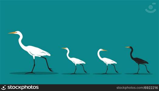 Vector of walking bird on blue background, Difference concept. Animal Idea.
