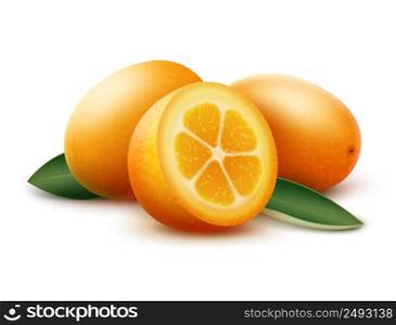 Vector orange kumquat fruits and green leaves isolated on white background. Orange kumquat fruits and green leaves