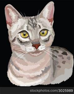 Vector outline colorful portrait of curious Egyptian Mau cat in black, white and grey colors. Illustration isolated on black background