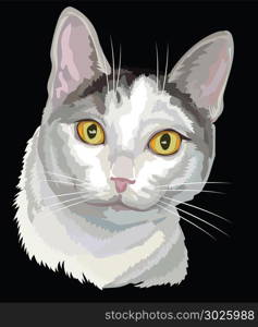 Vector outline colorful portrait of curious mongrel cat in black, white and grey colors. Illustration isolated on black background